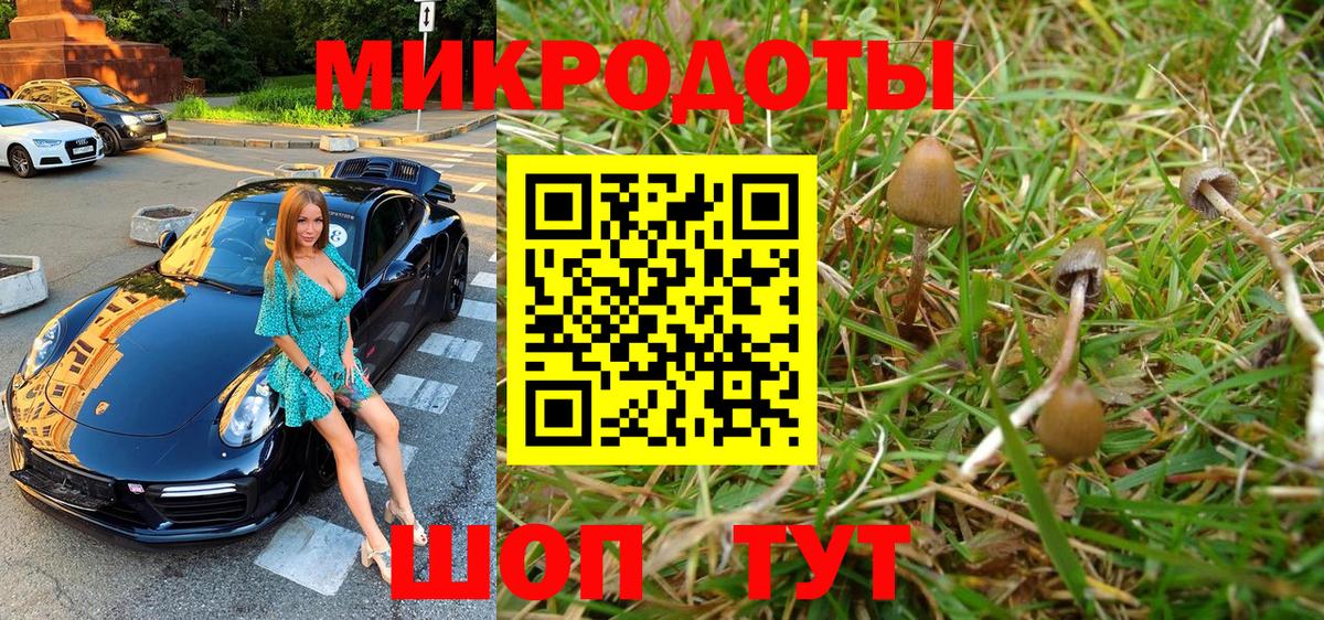 Галлюциногенные грибы мухоморы Шебекино