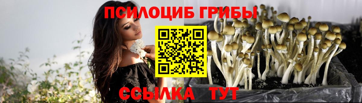 Псилоцибиновые грибы ЛСД  Псилоцибиновые грибы мицелий  Шебекино  Вход с VPN 